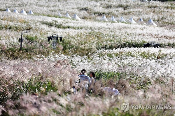 사진=연합뉴스