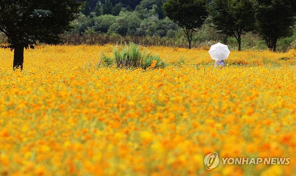 사진=연합뉴스