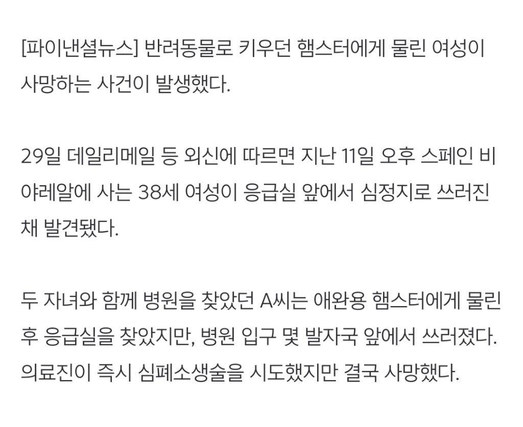 반려 햄스터에게 물린 30대女, 응급실 가던 중 사망 [헬스톡] | 인스티즈