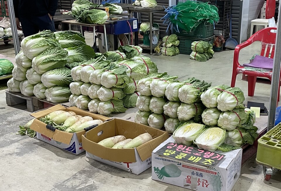 ▲ 남촌농산물도매시장에서 판매 중인 배추.