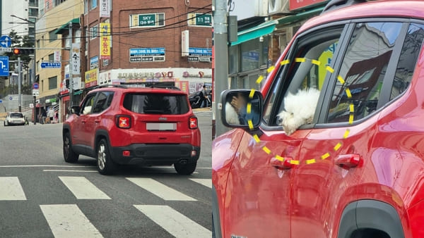 [사진=온라인 커뮤니티]