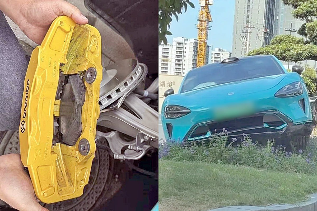 사진 출처 = ‘reddit’