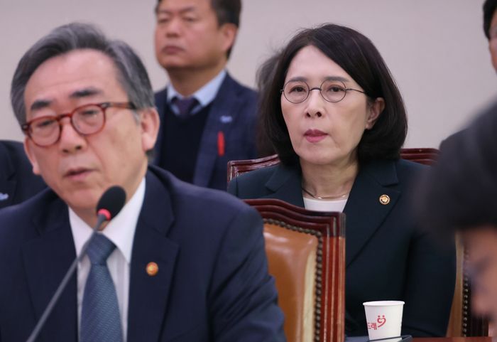 강인선 외교부 2차관이 28일 국회 외교통일위원회에서 사도광산 문제 관련 질의와 답변을 듣고 있다. ⓒ연합뉴스