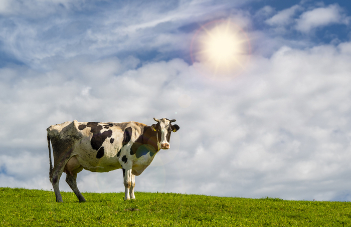 사진=게티이미지