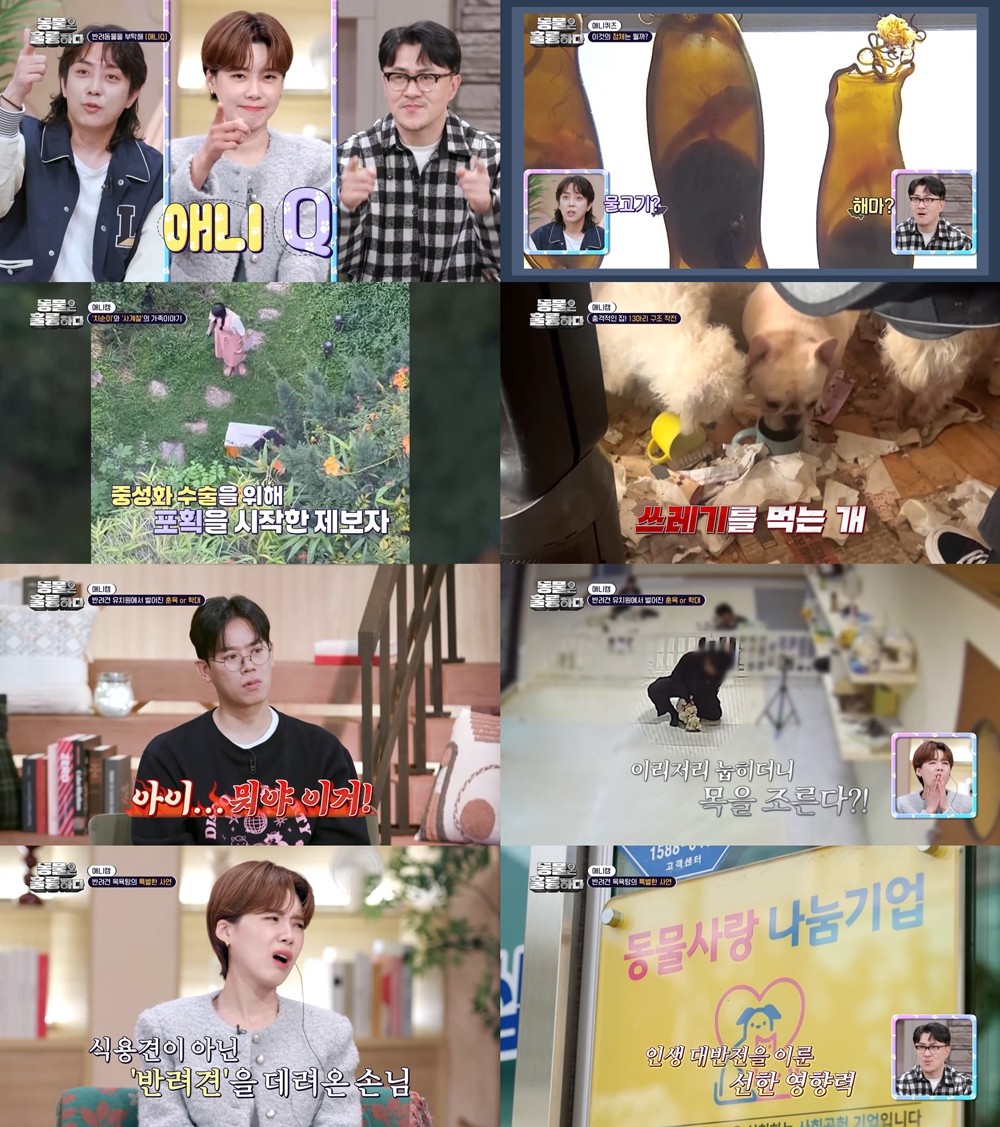 사진=KBS2 '동물은 훌륭하다'