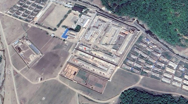 중국으로 수출하는 북한산 가발, 70%는 여성 강제노동 산물