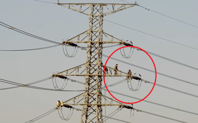 '북한군, 숙달된 기술자야? 무식한 거야?'…맨몸으로 송전탑 위에서 전선 잘라