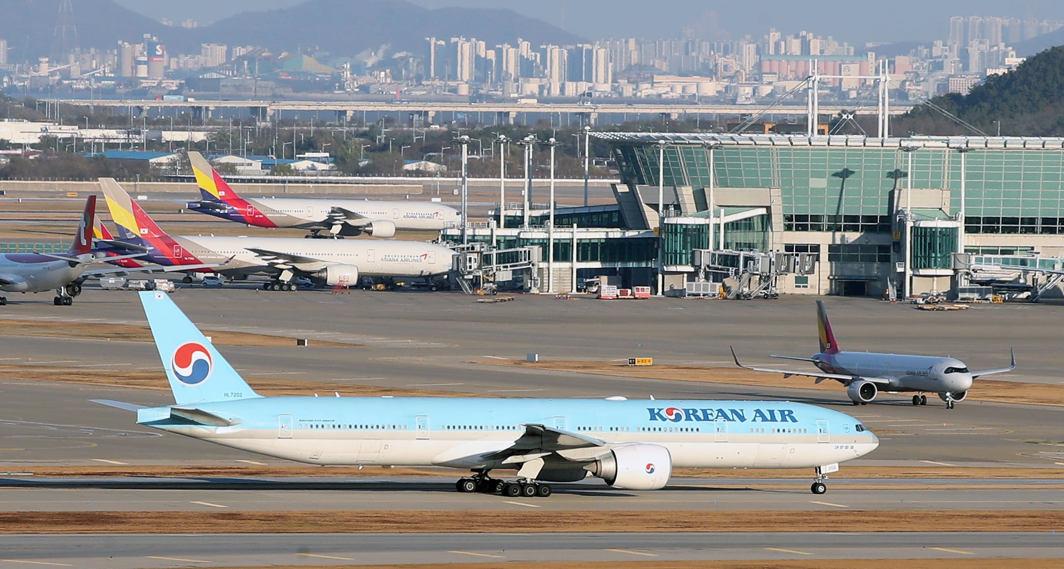 지난 22일 오후 인천국제공항 계류장에 대한항공과 아시아나 비행기들이 계류해있다. /뉴스1