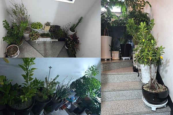 [사진=온라인 커뮤니티]