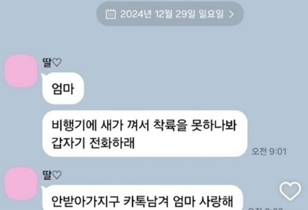제주항공 여객기 참사가 발생한 날 탑승객으로 추정되는 여성이 엄마에게 보낸 마지막 메시지가 공유됐다. 사진은 온라인 커뮤니티에 공유된 메시지. /사진=온라인 커뮤니티