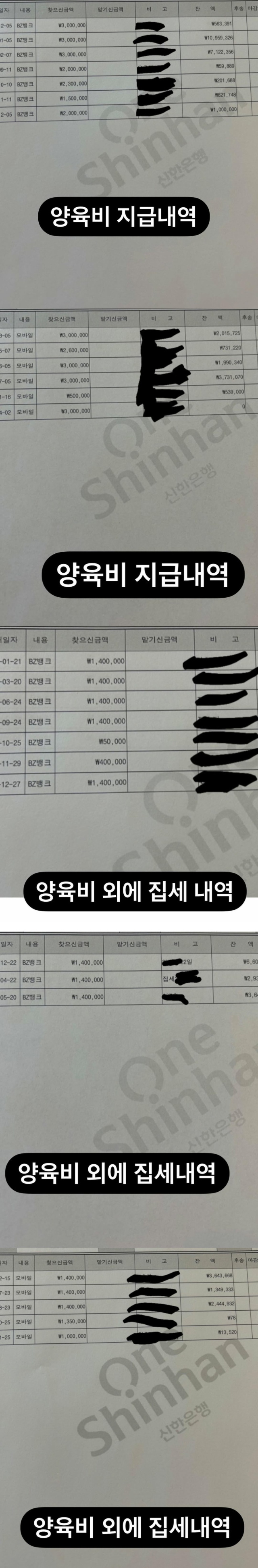 전 쇼트트랙 선수 김동성이 전처에게 보낸 양육비 내역 일부를 공개한 그의 아내 인민정./전 쇼트트랙 선수 김동성의 아내 인민정 인스타그램