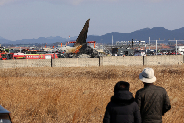 조류충돌 발생률 1위 무안공항, 조류 퇴치 인력은 4명…김해는 16명[제주항공 무안 참사]