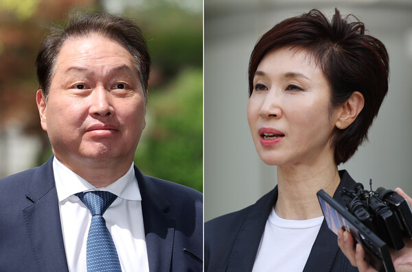 최태원 SK그룹 회장(왼쪽)과 노소영 아트센터나비 관장 / 뉴스1 