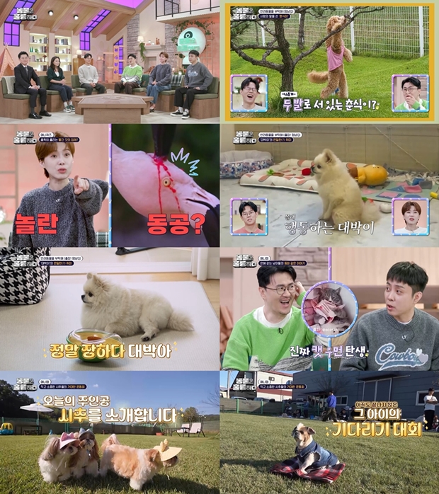 티브이데일리 포토