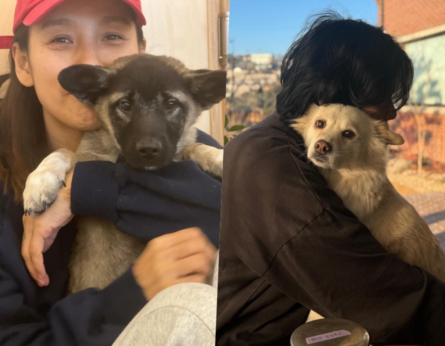 사진 : 이효리 인스타그램