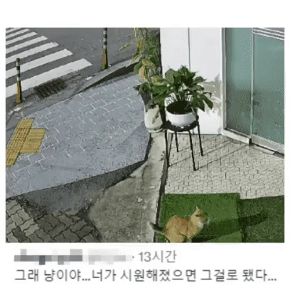 btabda7a40721319b4e0cdbb4516d848e7.gif