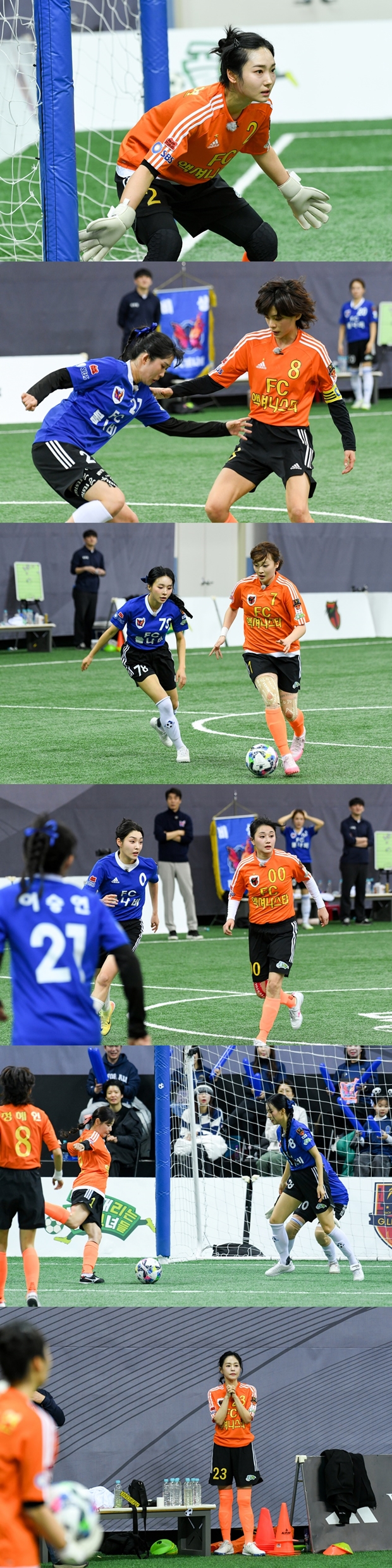 티브이데일리 포토
