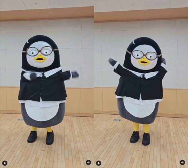 티브이데일리 포토