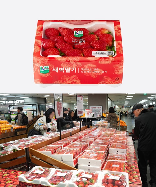 사진=롯데쇼핑