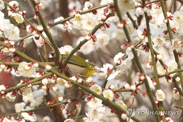 사진=연합뉴스