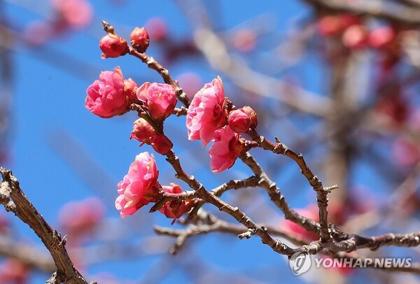 사진=연합뉴스
