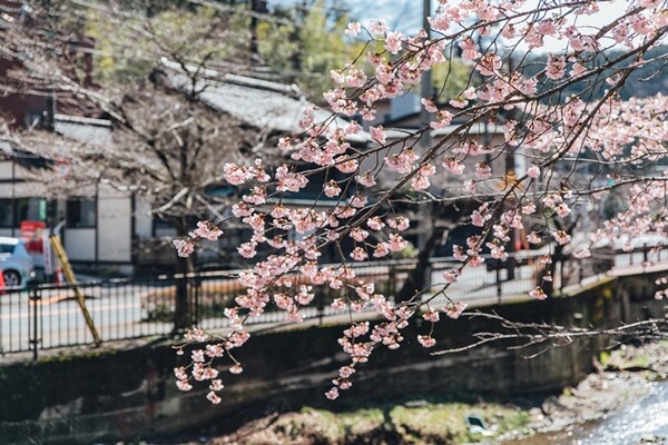 사진=유토 이미지