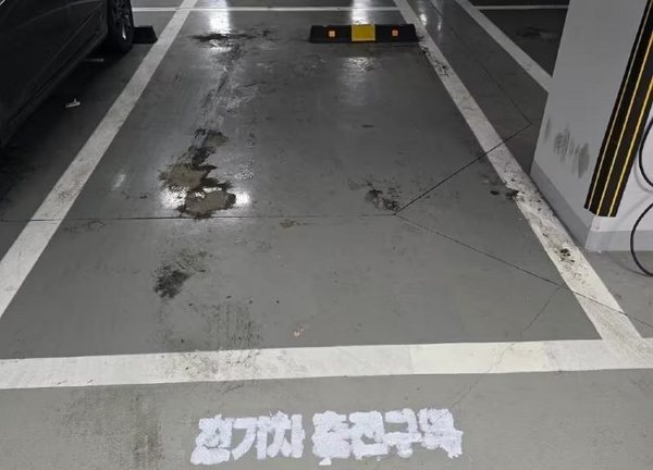 일반 주차구역에 '전기차 충전 구역'이라고 래커칠한 입주민을 향한 비판이 이어지고 있다. 사진은 한 입주민이 일반 주차구역에 '전기차 전용' 래커칠한 모습. /사진=보배드림 캡처