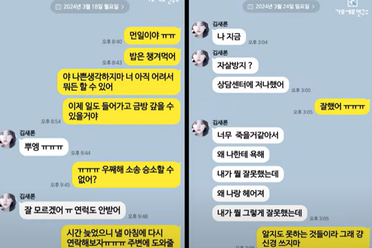 출처: YouTube '가로세로연구소'