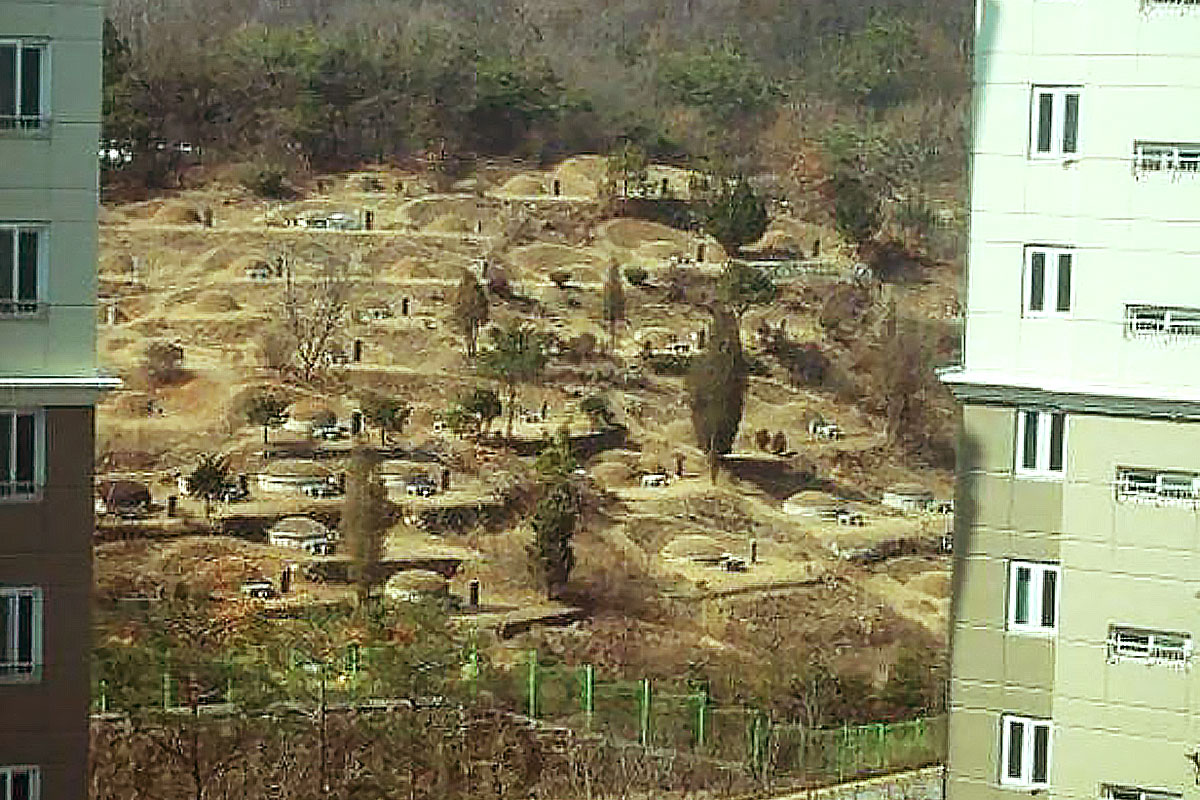 기사의 이해를 돕기 위한 사진/= 온라인 커뮤니티