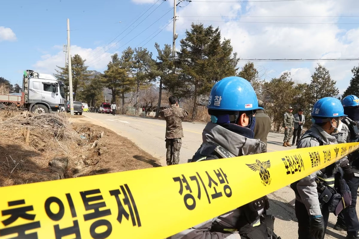 출처 : 뉴스 1