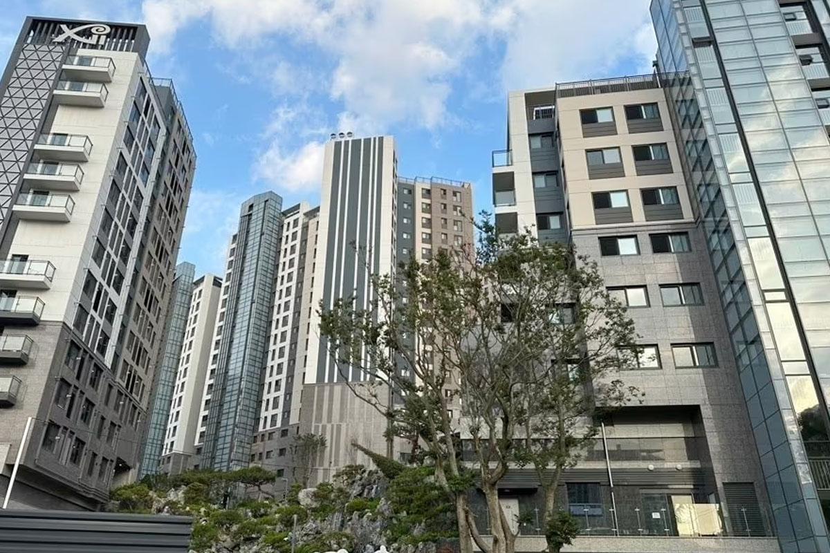출처 : 뉴스 1
