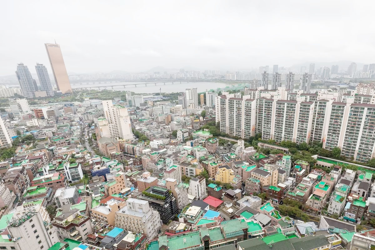 출처 : 뉴스 1