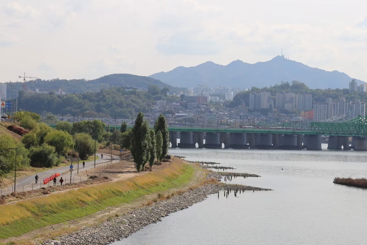 출처 : 뉴스 1
