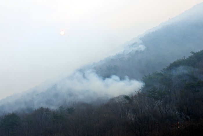 23일 오전 경남 산청군에서 발생한 대형 산불이 3일째 이어지고 있는 가운데 산청군 시천면 일대가 흰 연기로 뒤덮여 있다. ⓒ뉴시스