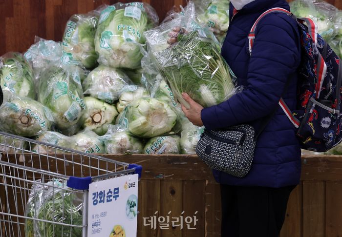 20일 오후 서울 서초구 농협하나로마트 양재점에서 한 시민이 배추를 구매하고 있다.ⓒ뉴시스