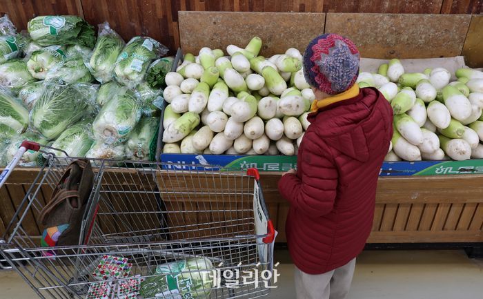 배추, 무. ⓒ뉴시스