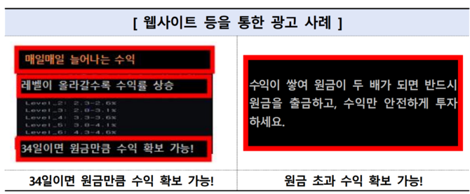 폰지사기가 의심되는 웹사이트 등을 통한 광고 사례 ⓒ금융감독원