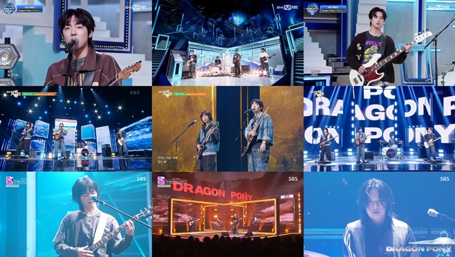 티브이데일리 포토