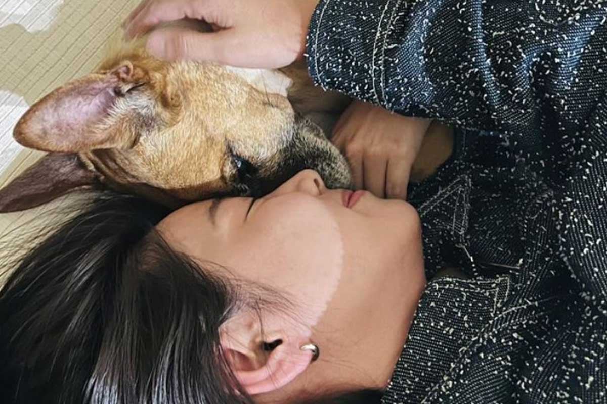 출처 : 미가백 sns