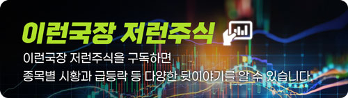 '31조 투자도 美 관세 앞에선 무기력'…현대차·기아 줄줄이 약세[이런국장 저런주식]