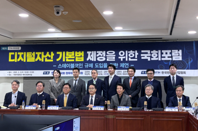 금융당국, 국내 스테이블코인 '김치프리미엄' 주시…'규제 체계 신속 정립할 것'