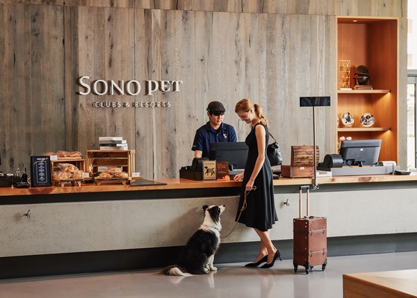 사진=소노인터내셔날