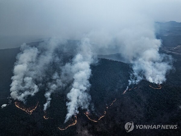 사진=연합뉴스