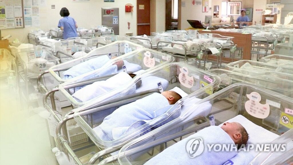 정책