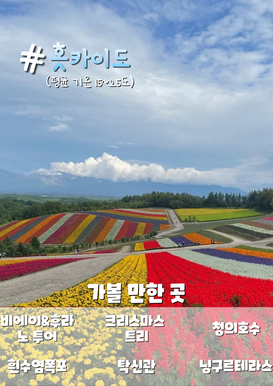 홋카이도 비에이 투어 / 사진=비짓홋카이도