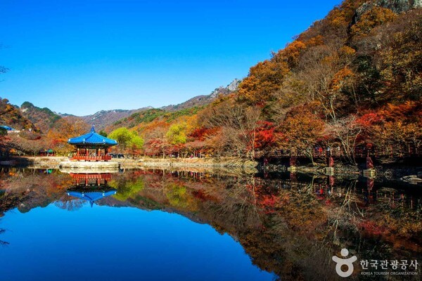 내장산국립공원 출처-포토코리아 IR 스튜디오
