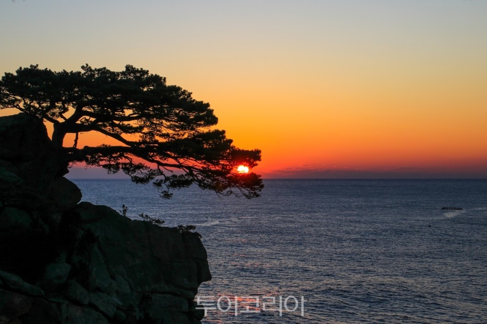 하조대 일출 /사진-양양군
