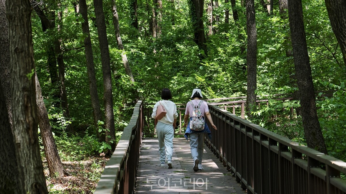 시민들이 무릉도원수목원 누구나숲길을 산책하고 있다./사진-부천시