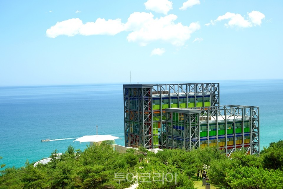하슬라 아트월드/사진-한국관과공사 
