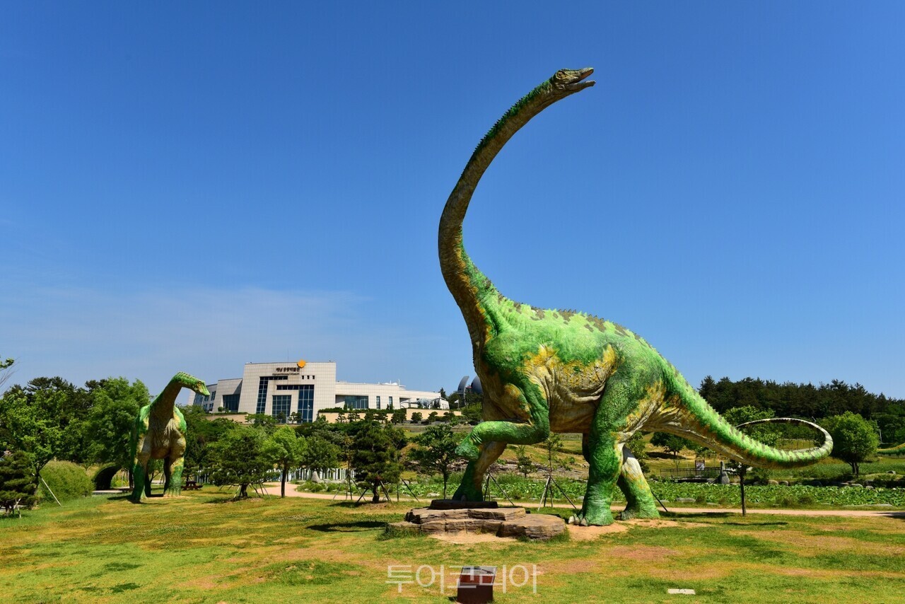 해남공룡박물관/사진-해남군